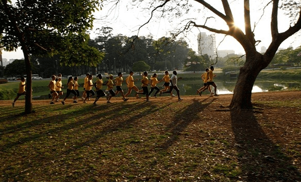 Descrições. Parque do Ibirapuera, em São Paulo, com árvores verdes, um lago ao fundo e pessoas caminhando pelo caminho principal.