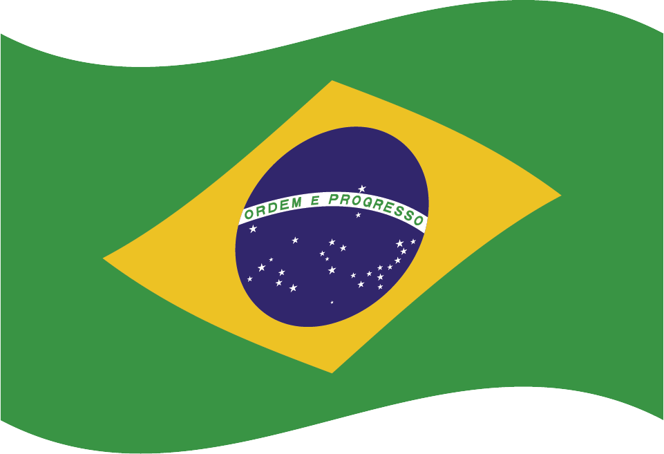 Português do Brasil